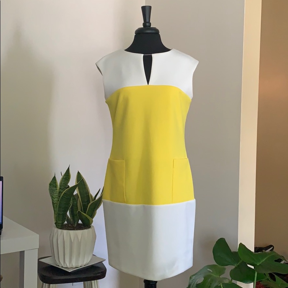 White & Yellow Sleeveless Sheath Dress